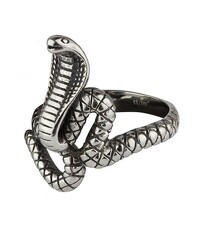 Ring Kobra Edelstahl - vergleichen und günstig kaufen